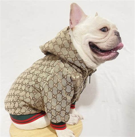 gucci clothes for puppies|gucci dog clothes wholesale.